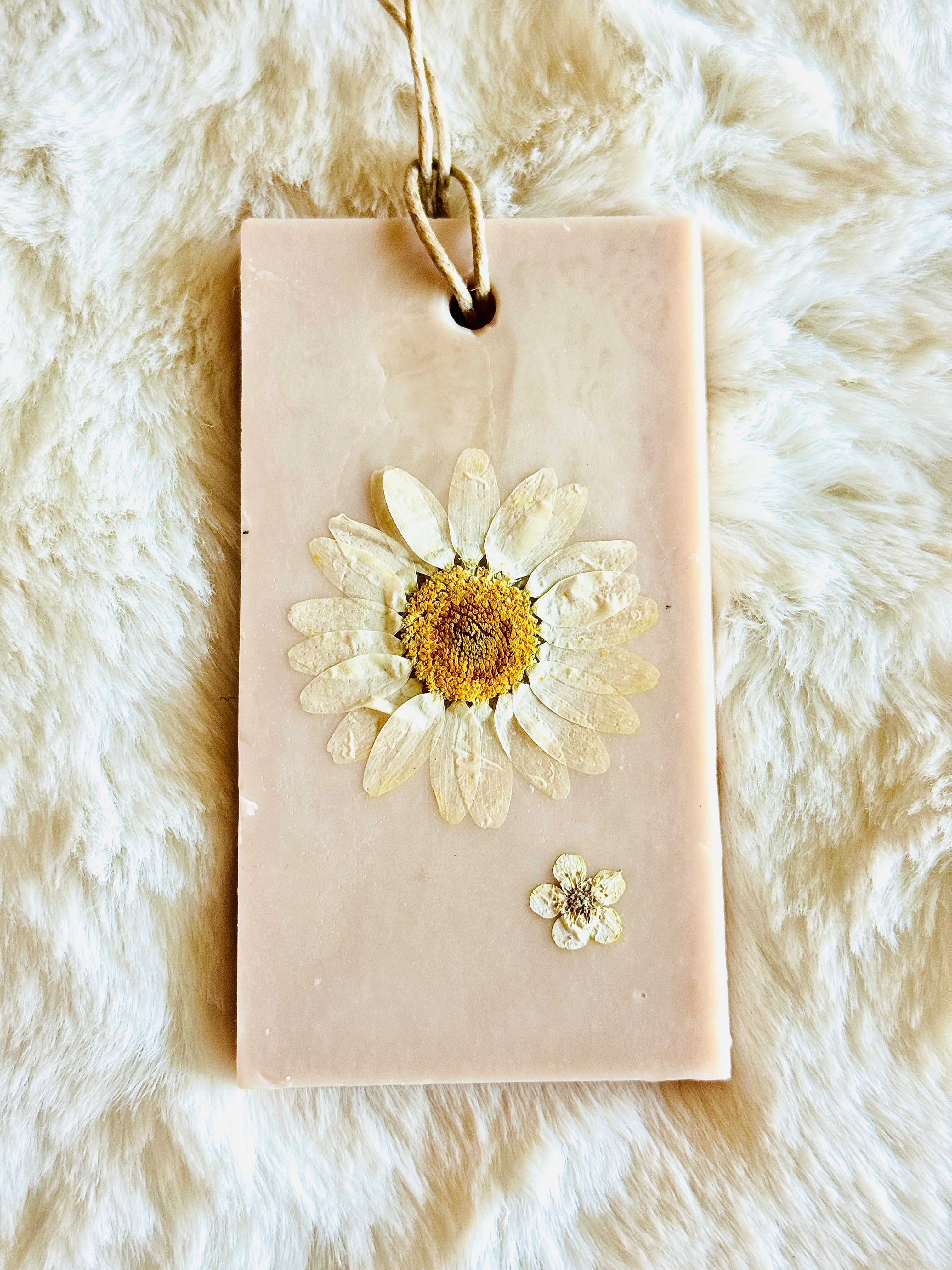 Organic Botanical Sachet for Freshening Small Spaces