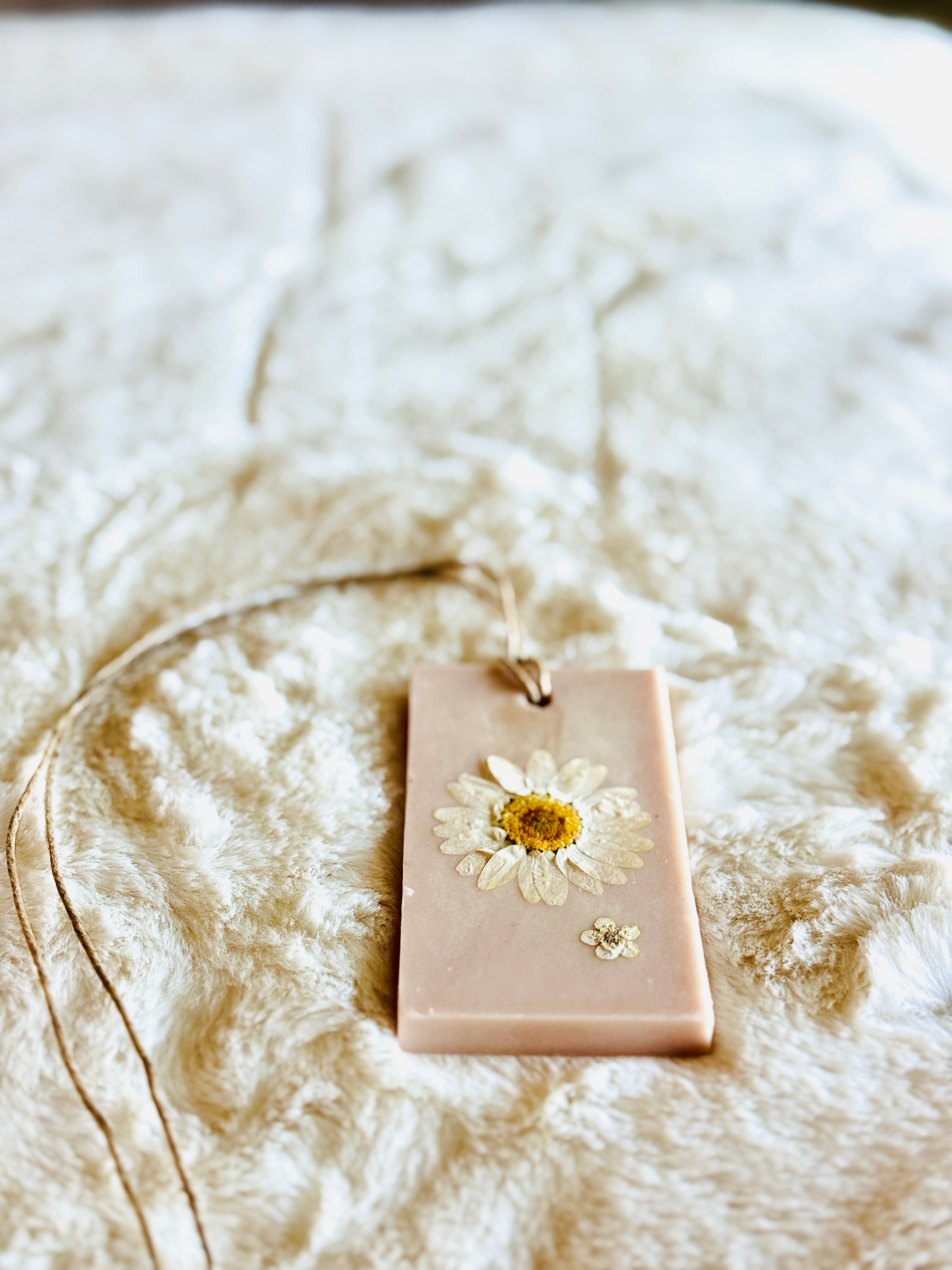 Organic Botanical Sachet for Freshening Small Spaces
