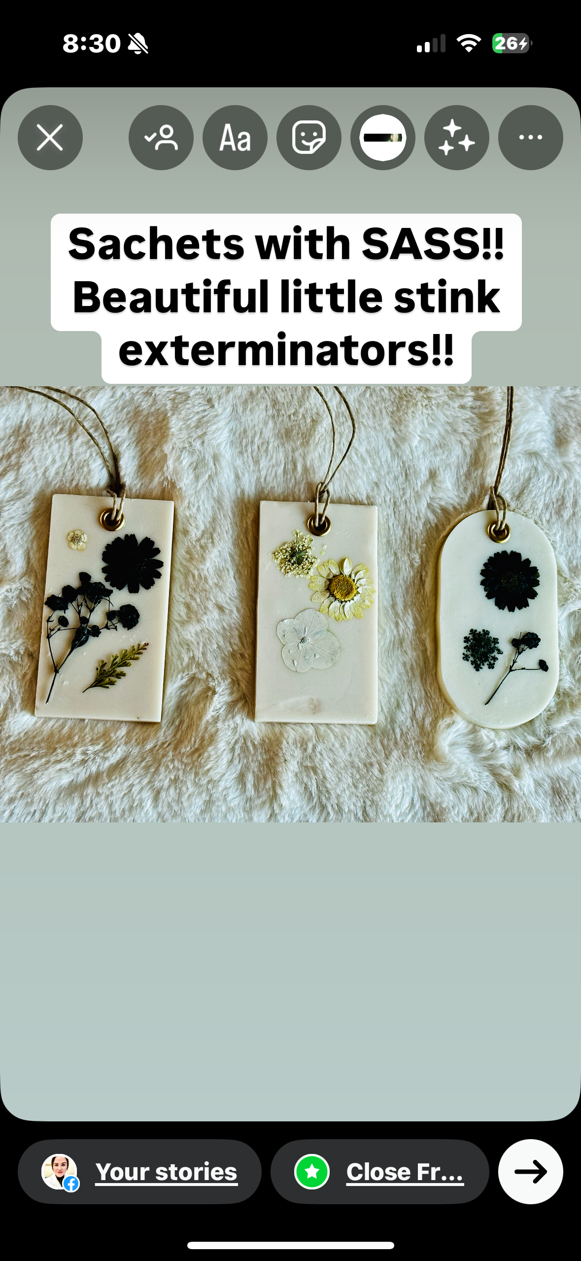 Organic Botanical Sachet for Freshening Small Spaces
