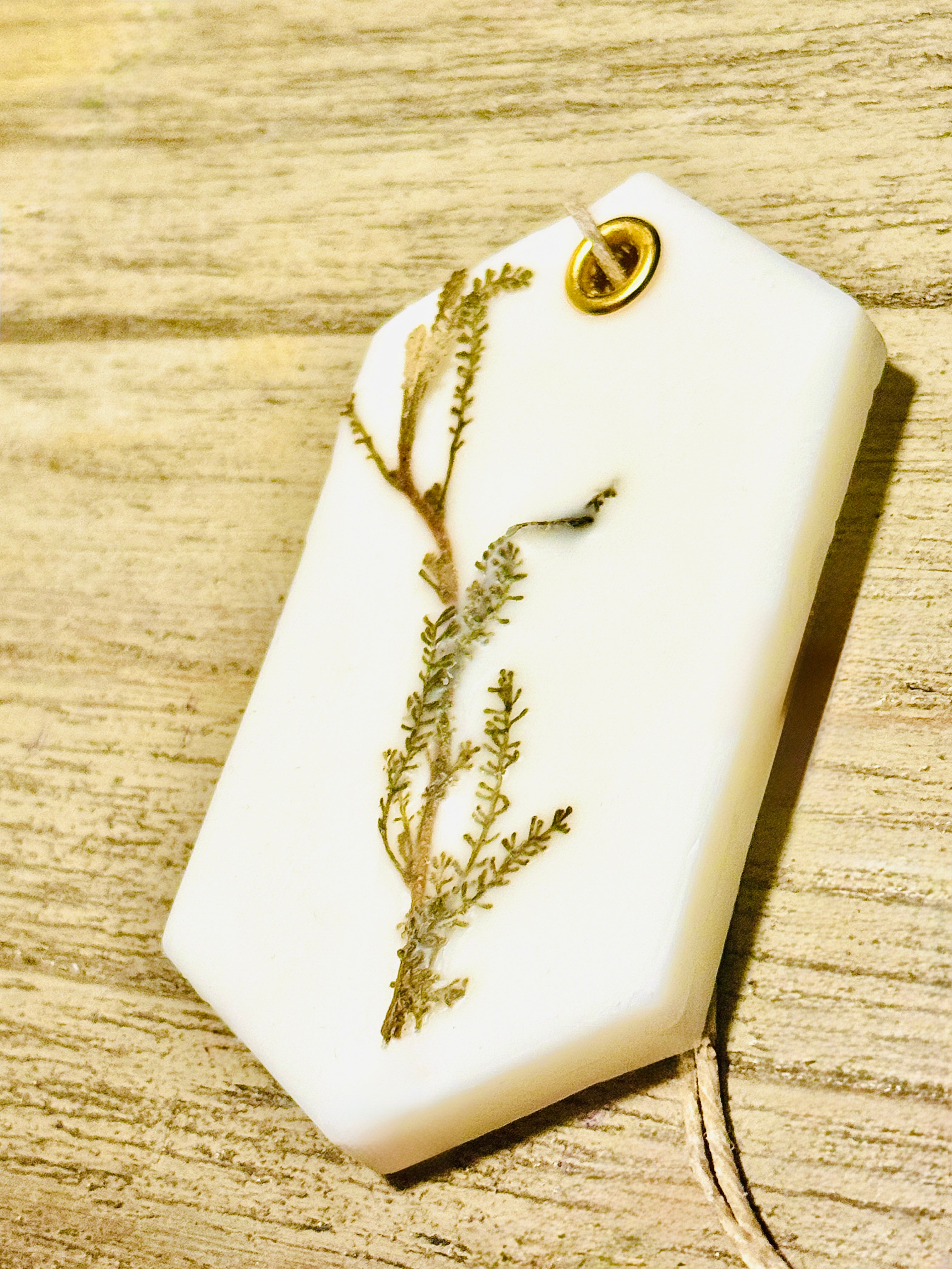 Organic Botanical Sachet for Freshening Small Spaces
