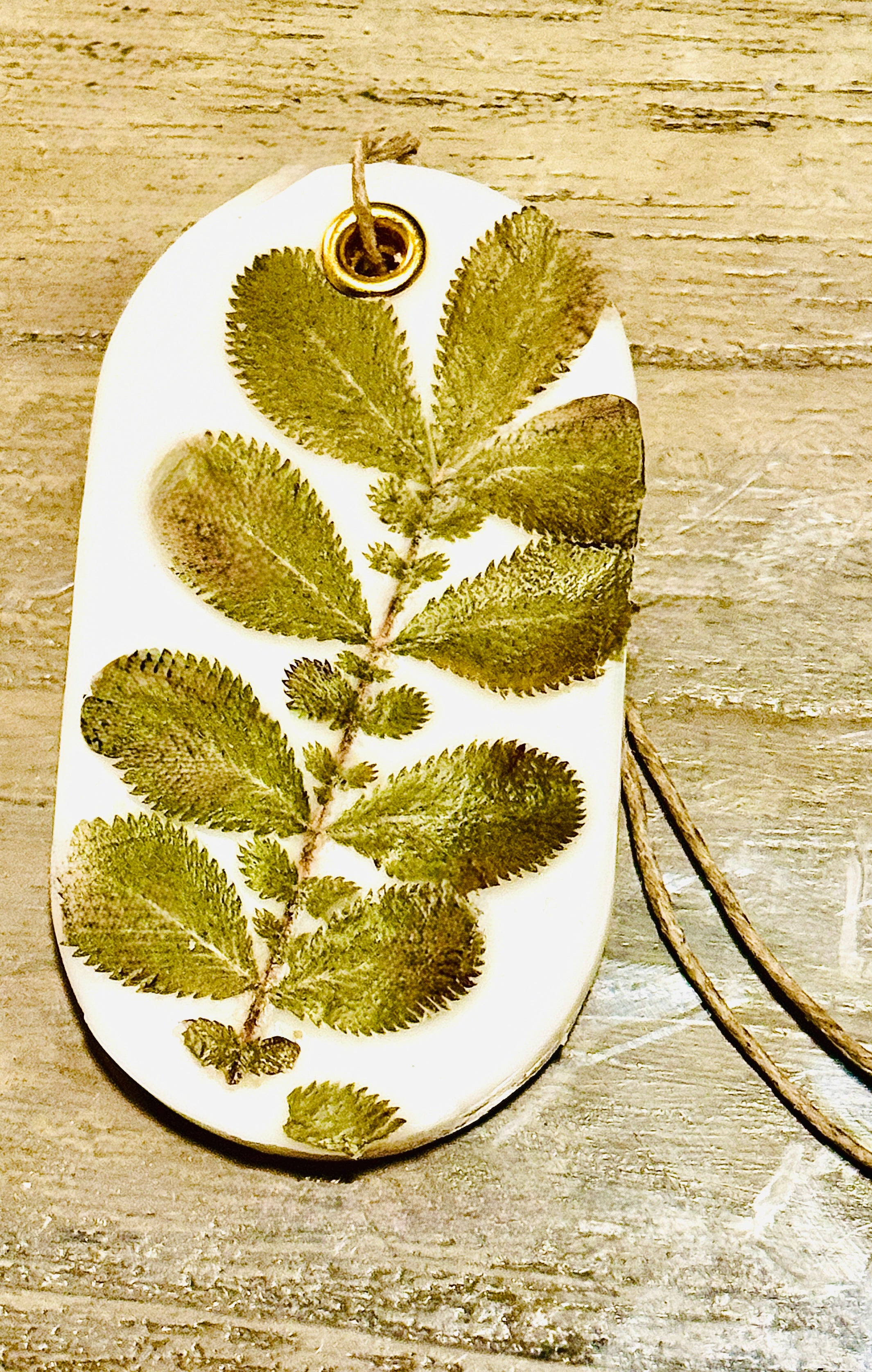 Organic Botanical Sachet for Freshening Small Spaces