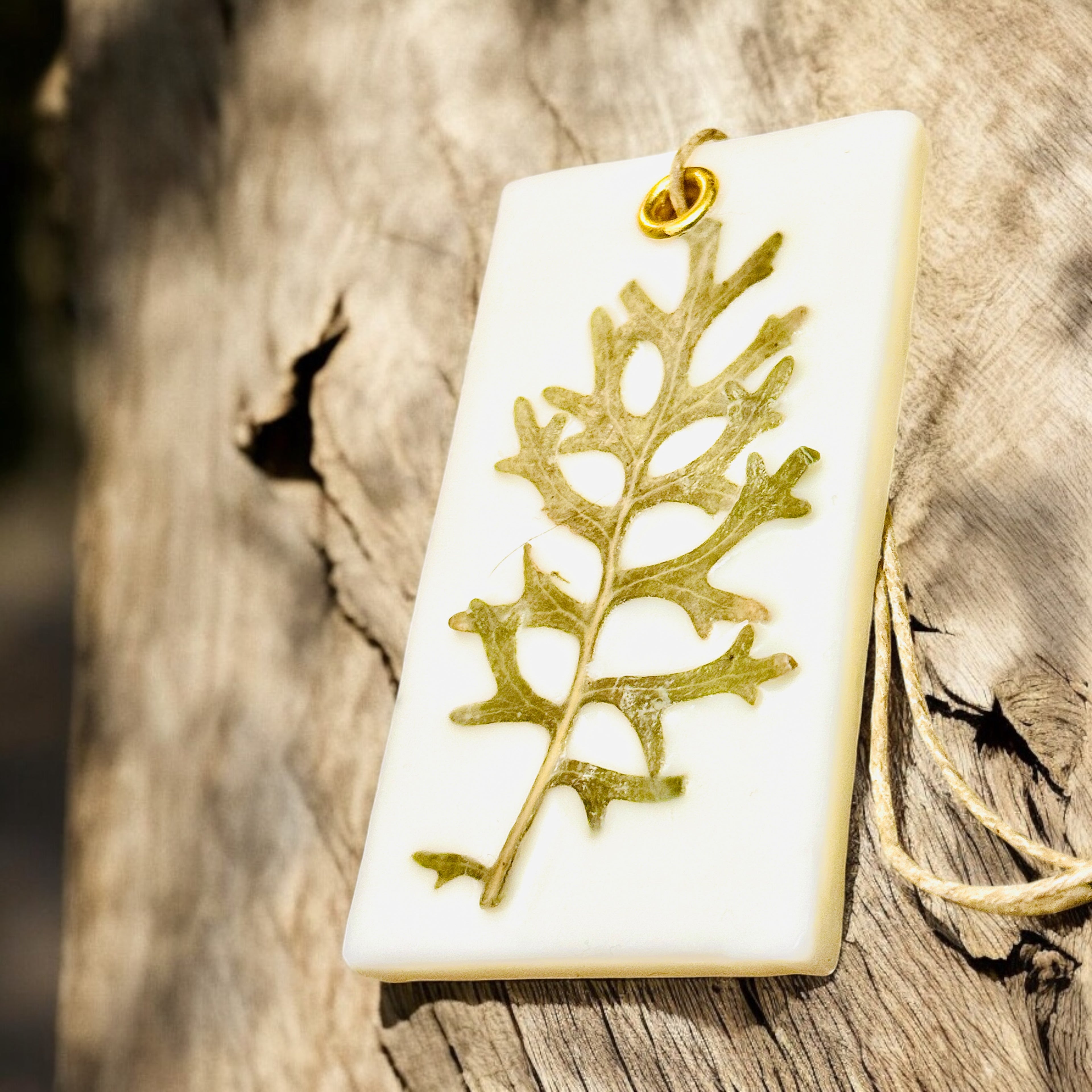 Organic Botanical Sachet for Freshening Small Spaces