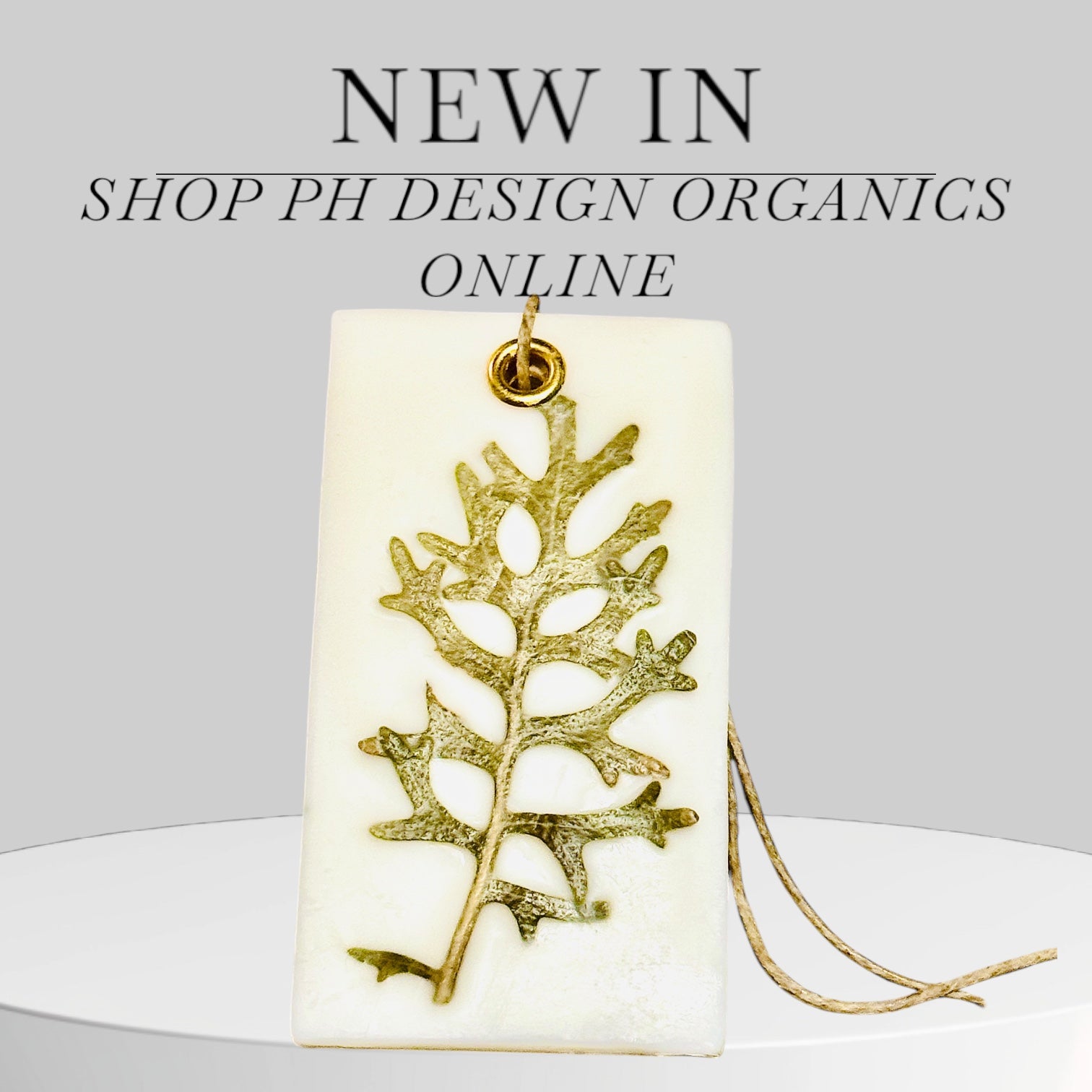 Organic Botanical Sachet for Freshening Small Spaces