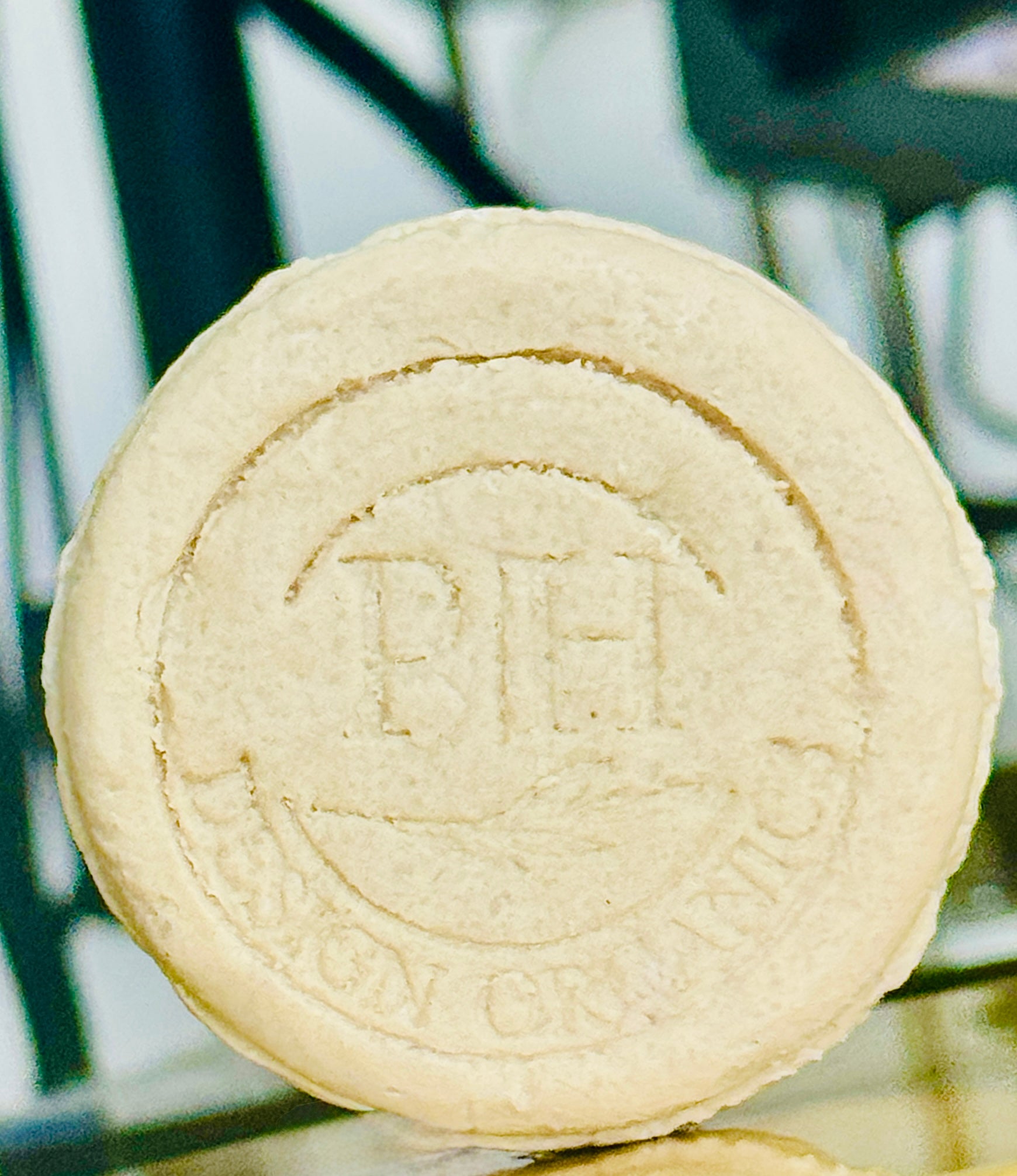 Bontanical Shampoo Bar