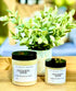 Emulsified Face and Body Sugar Scrub Eucalyptus & Mint