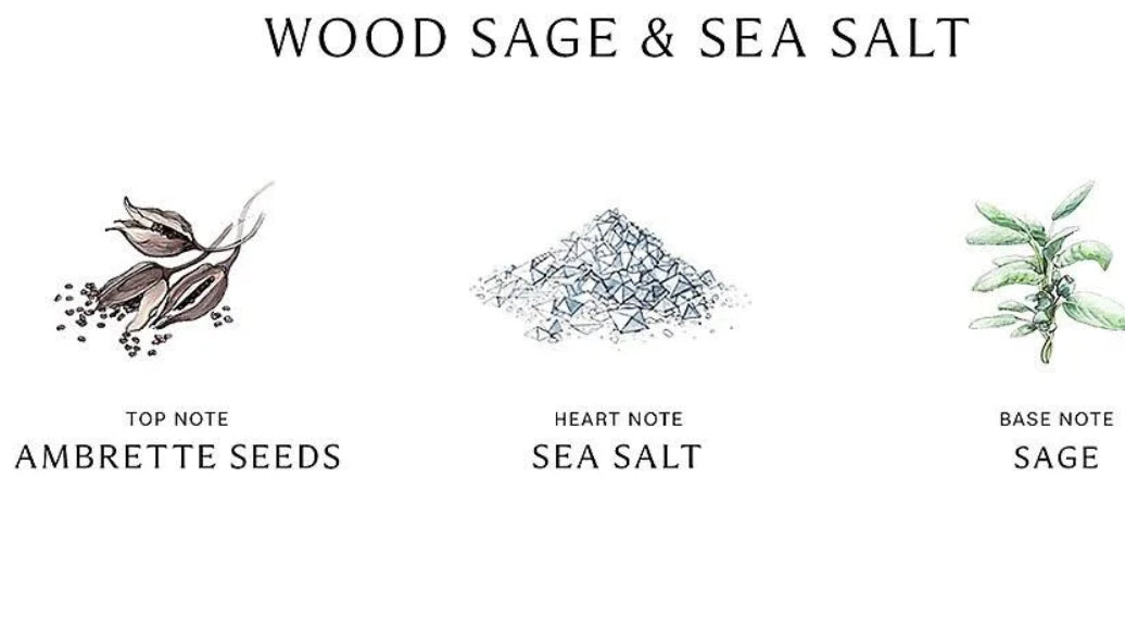 Coastal Drift- Body Mist accords of salt, sage, ambrette seeds, grapefruit PH Design Organics